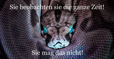 Sie beobachten sie